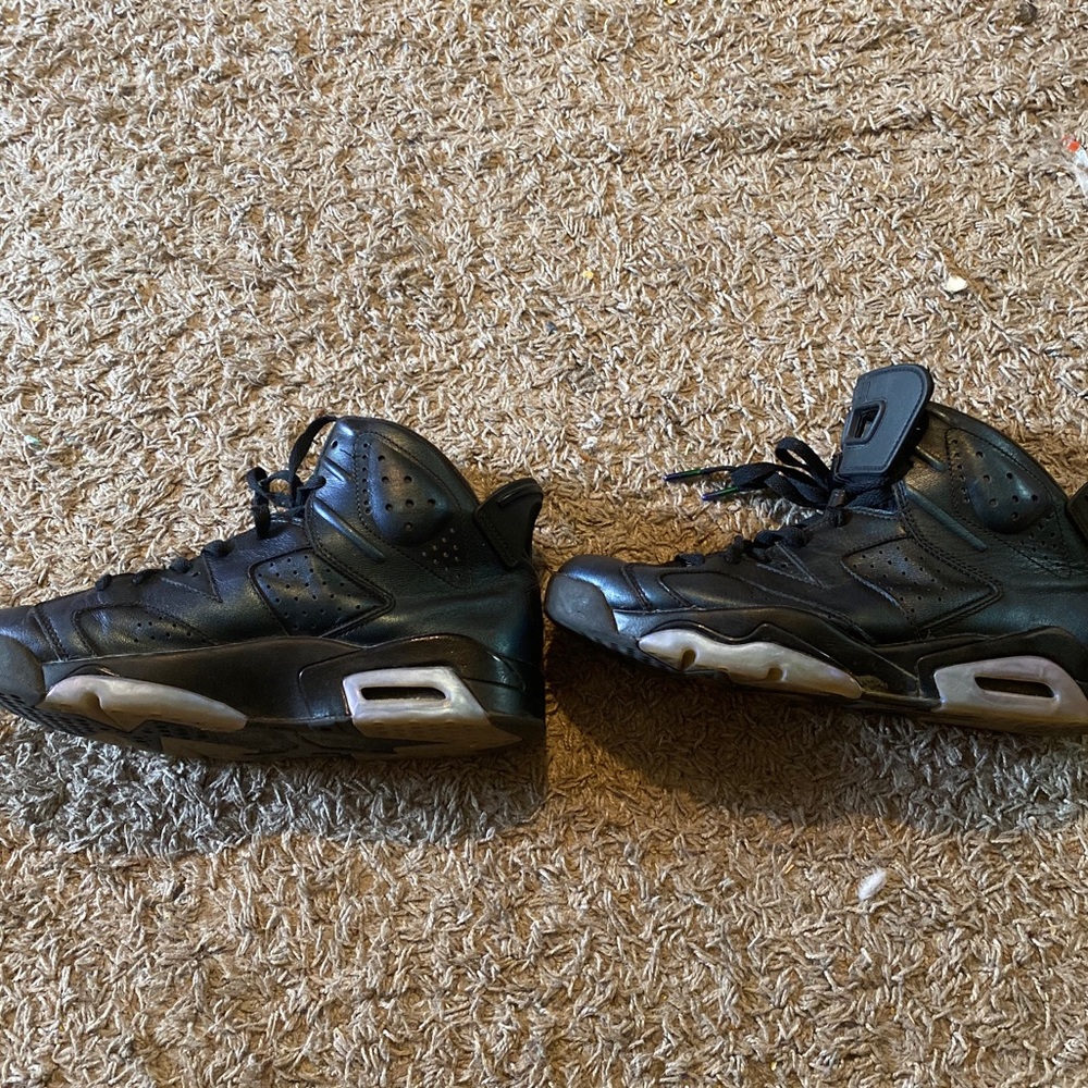 Jordan 6 all star chameleon